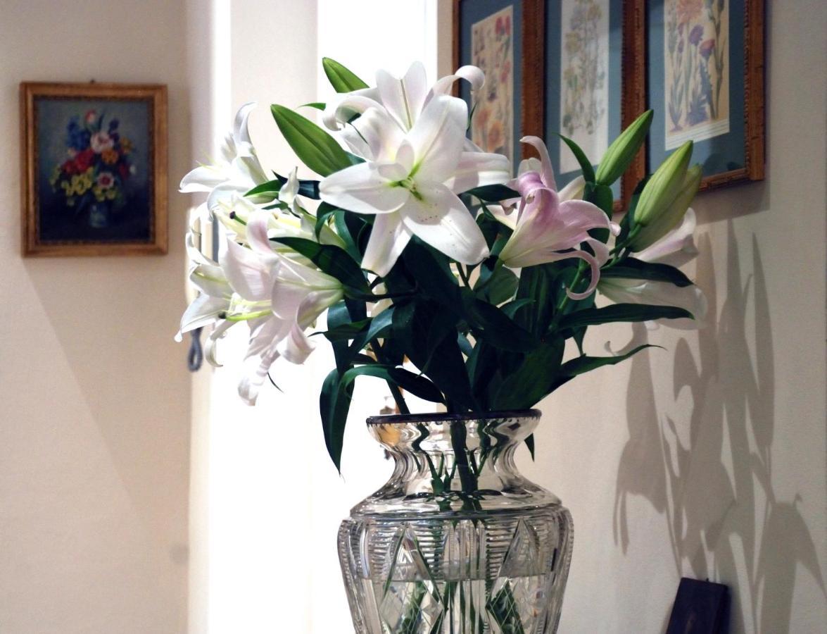 Bed And Breakfast Flowers Genoa Exterior photo